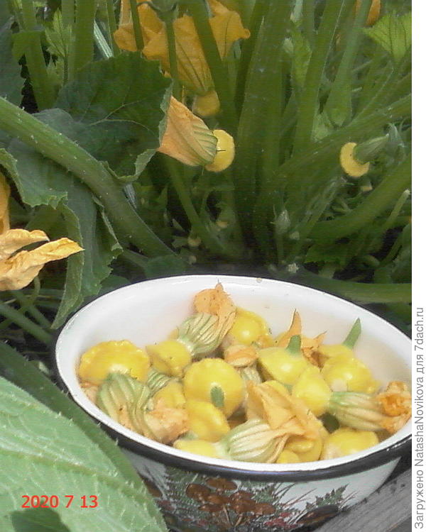 только что собрала