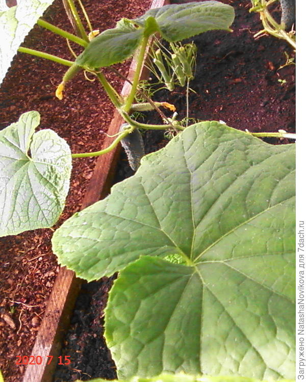 &quot;рябость&quot; проходит