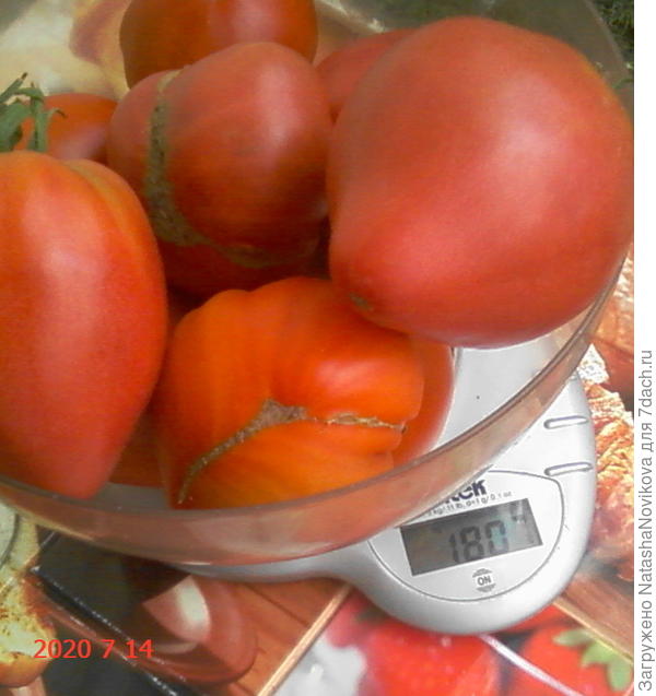 середина июля(( съём...когда то вёдрами