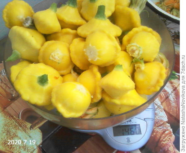 копейками засыпались, через день собираю