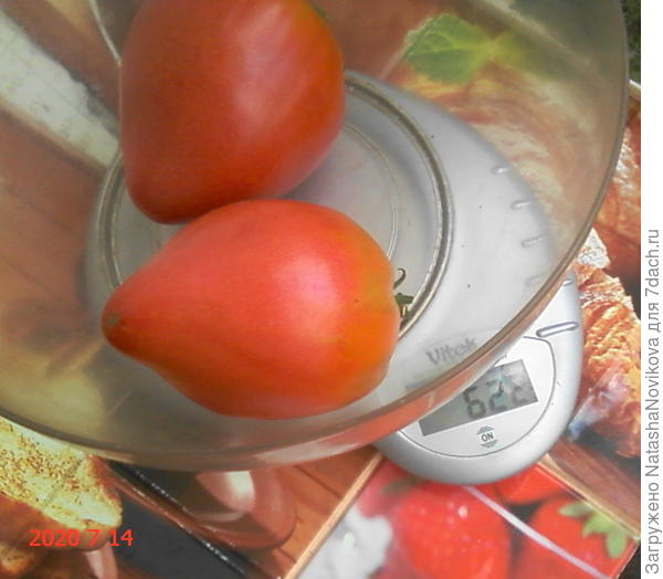 кушаем давно и вдоволь, но изобилия нынче нет