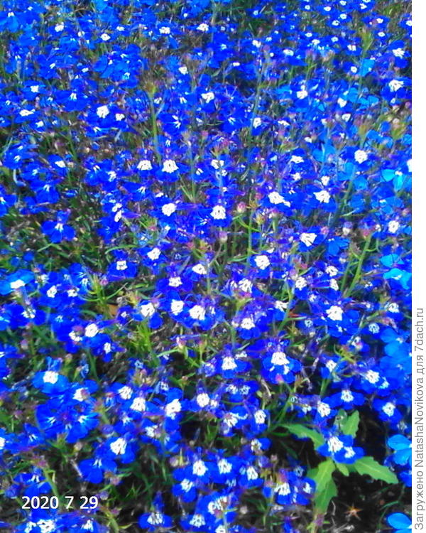 океан моей любви, красивый месяц июль - до будущих встреч:)