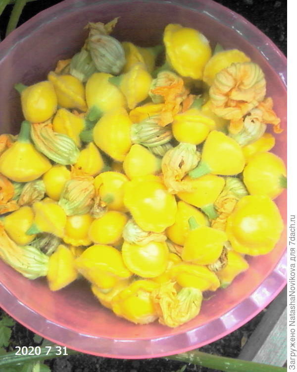 копеек на миллион