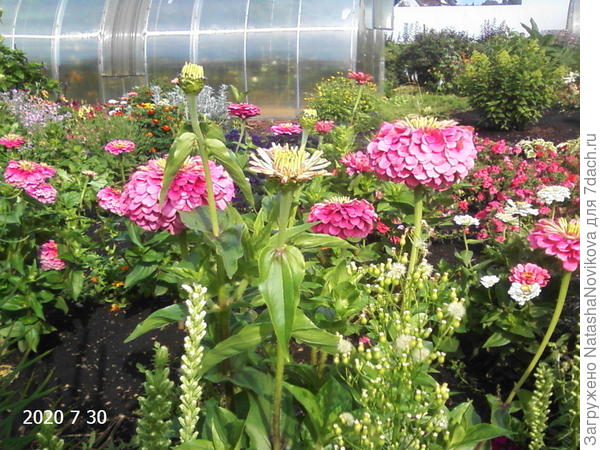 ну и глазу услада