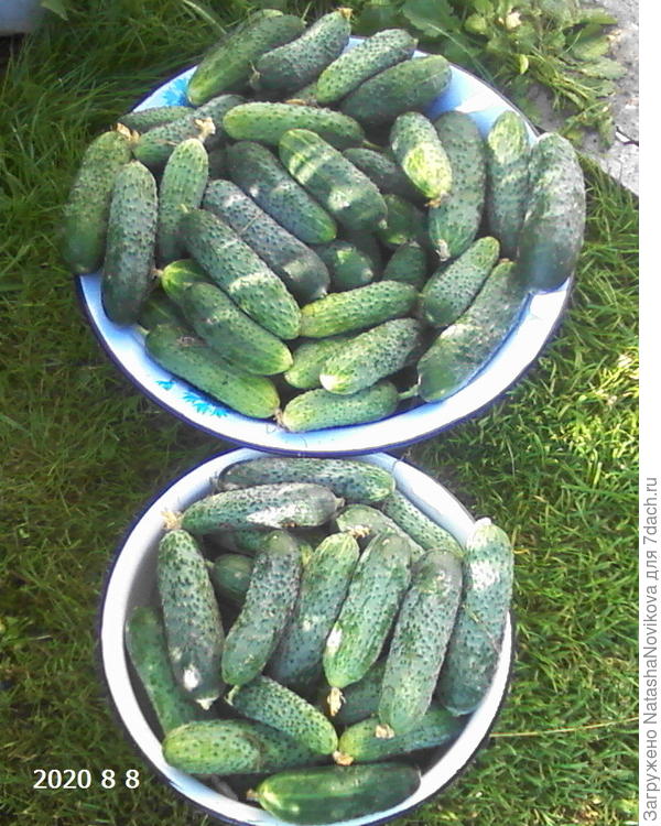 никому уже не надо