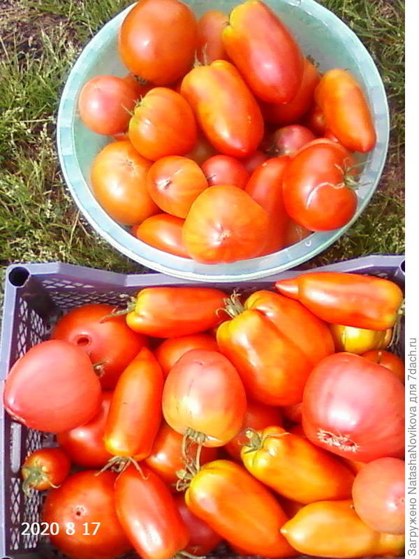 вчера собралось