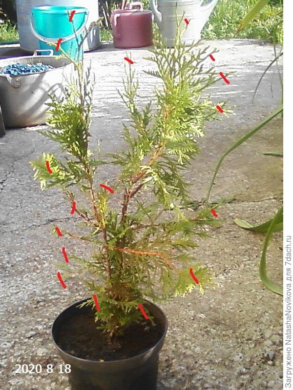 вот так почикать?