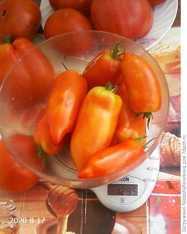 вкусные томаты