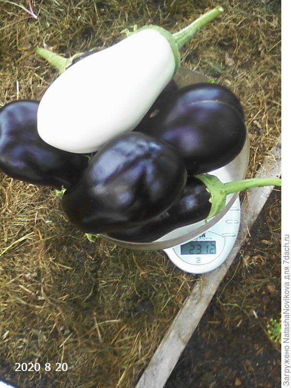 почти последние, осталось несколько штучек