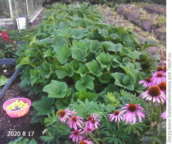 практически ни одинлист не портится, только самые нижние удаляю