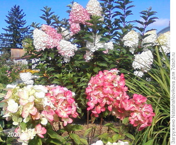 опять любуюсь между делом