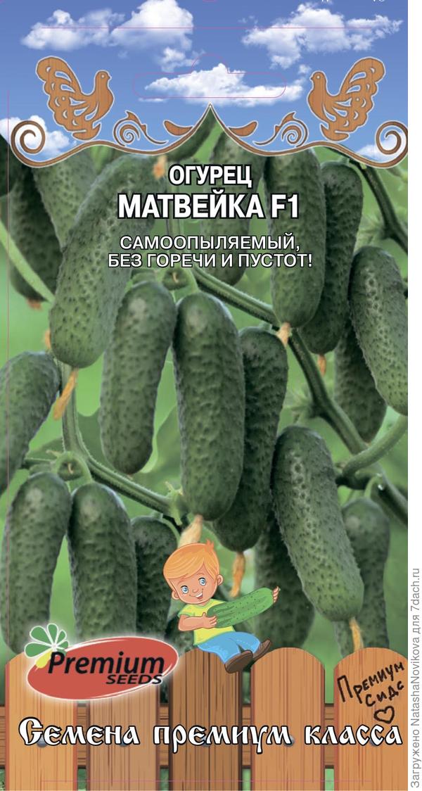 семена