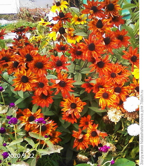 а на этом участке жаркое лето