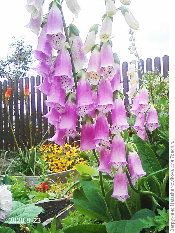 последние..