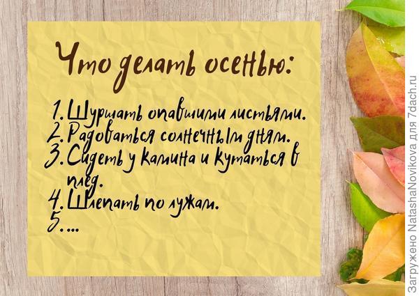 :)) только что вернулись из кедрача, собирали иголки для укрытий гортензий, пошуршала вдоволь.