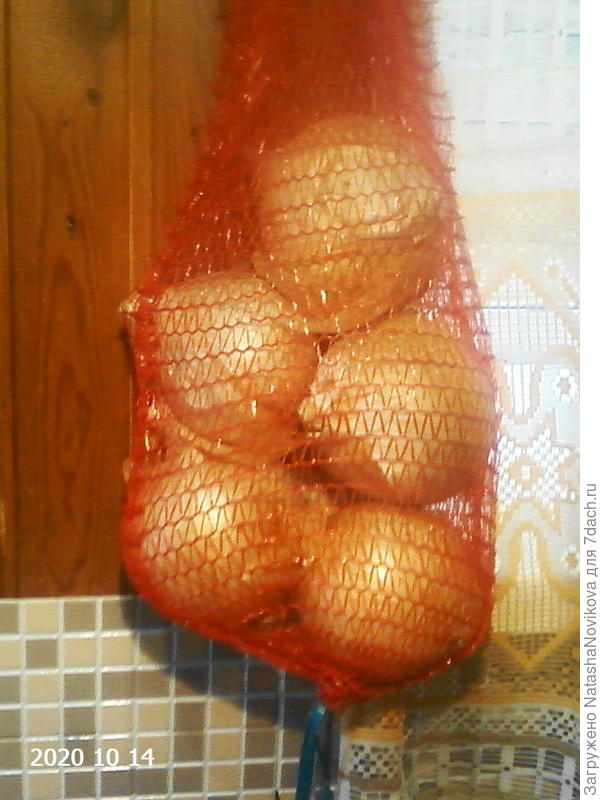 храним в сетках