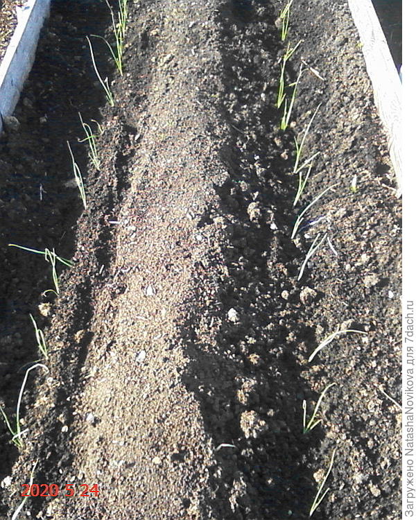 высадился :))