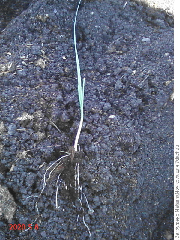 отмочился :))