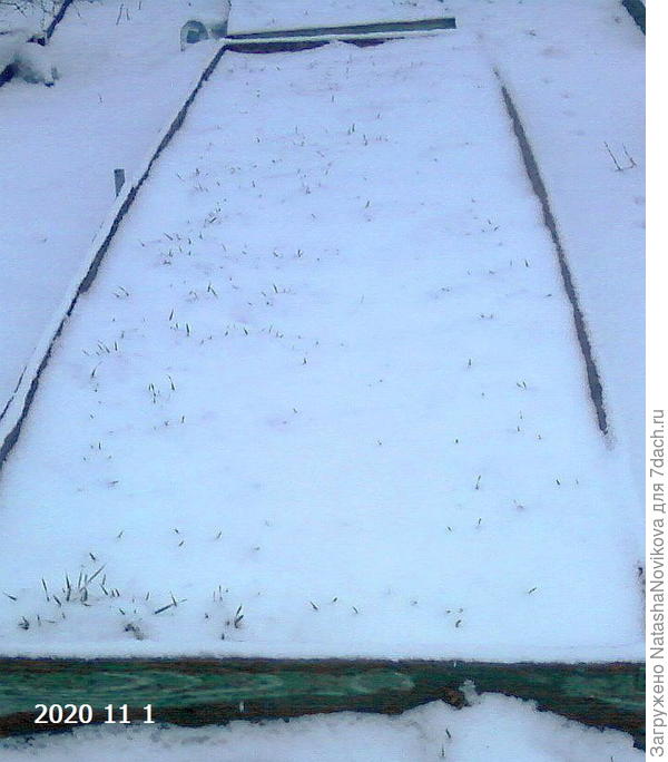 в огороде зима