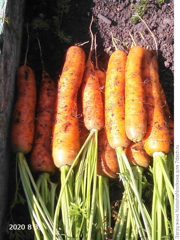 и да, практически не полю