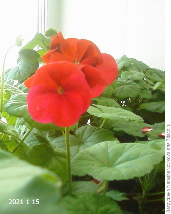 Дарю Лето :))