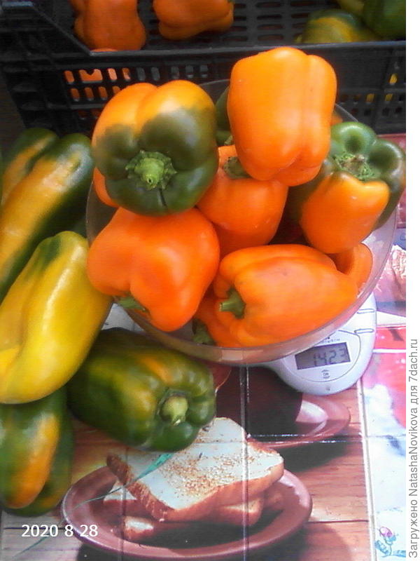 вес 200-250 грамм, для фарширования очень удобно