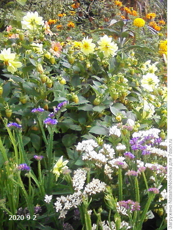 на переднем плане она, если видно ))