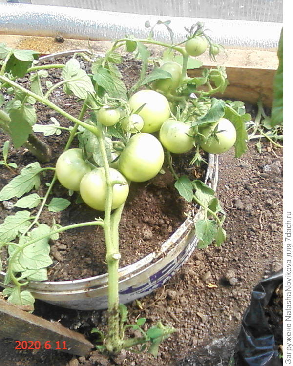 ямал сломался