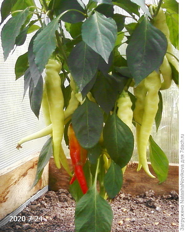 и не в тесноте, и не в обиде