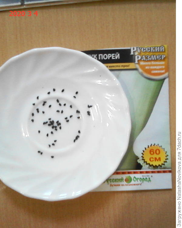 4 марта посеяла