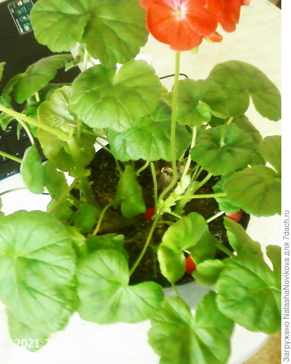 вот только что сфотала