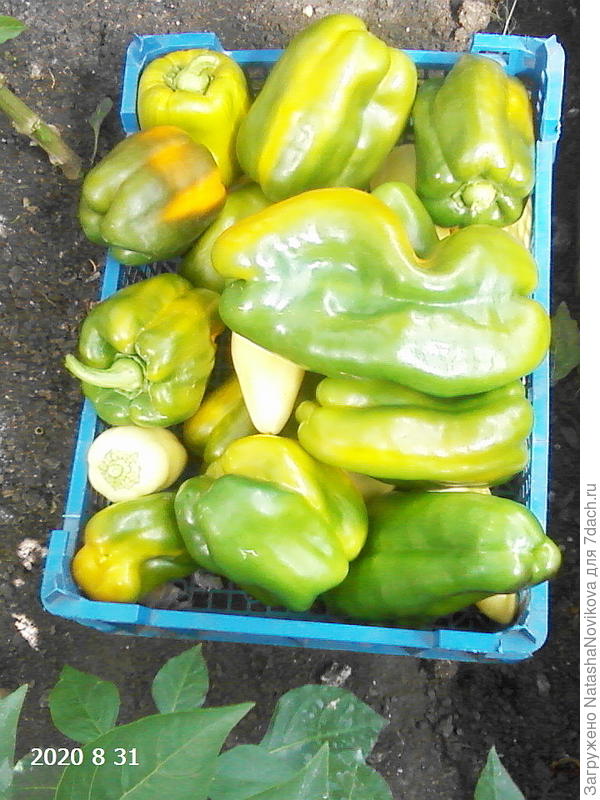 полюбились))