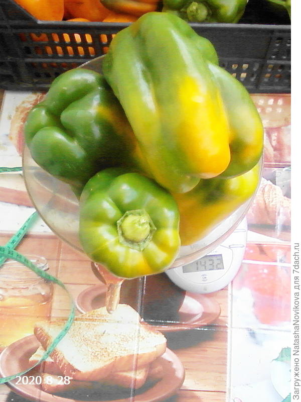 очень сочные и ароматные