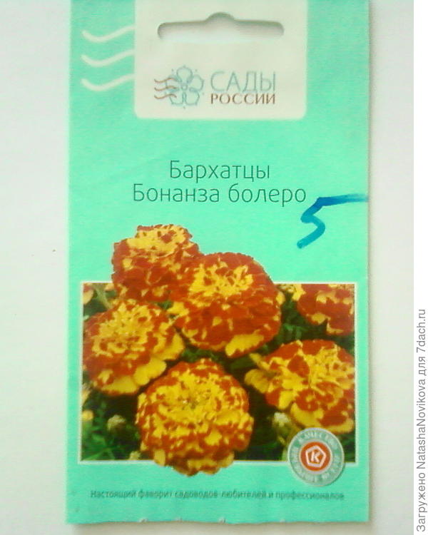 в прошлом году положили всего 5 семок