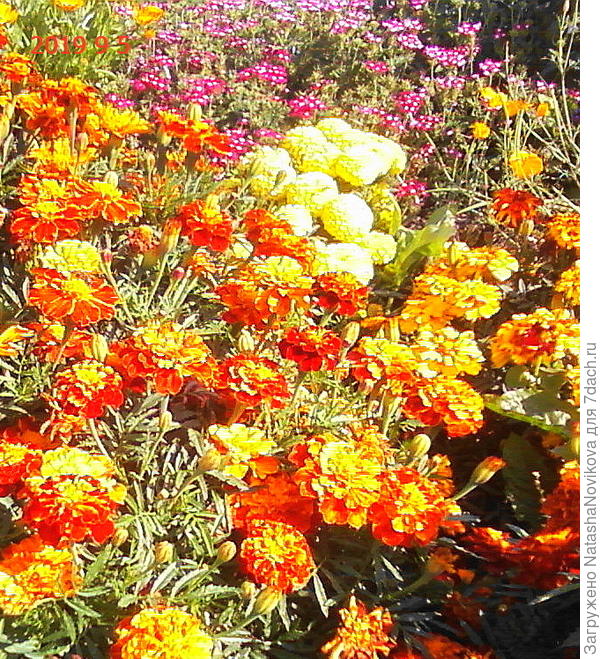 ну это же просто буйство лета)) а на календаре сентябрь