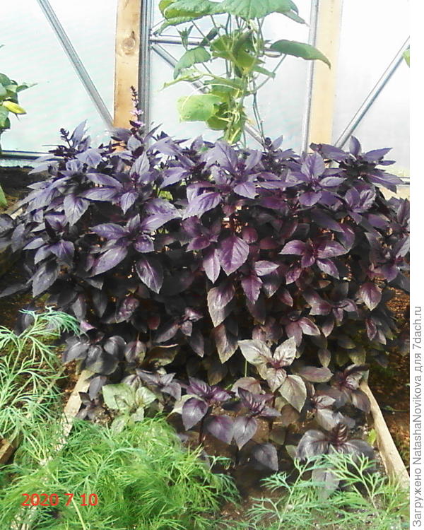 вкуснотааа