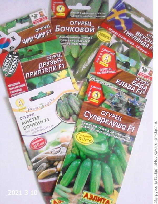 семена