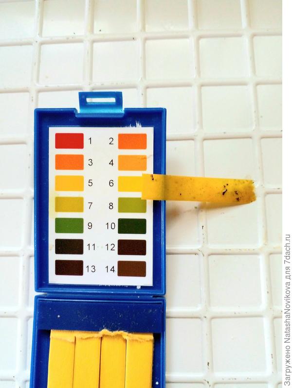 после того как добавила доломитку