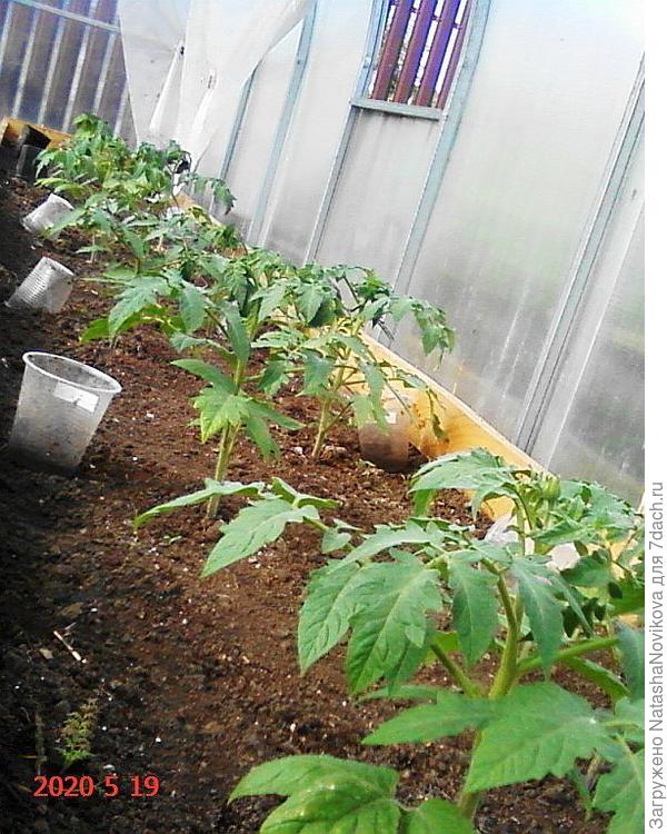 и стало ровно через месяц))