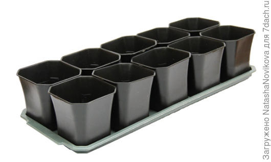 такие мне не нравятся,