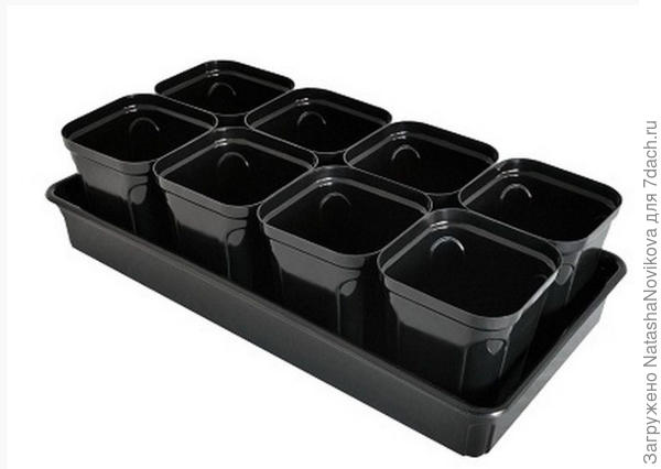 эти самое то