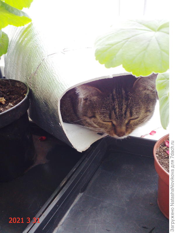 у меня таких 30 штук, порядка 10-ти лет испозьзую))