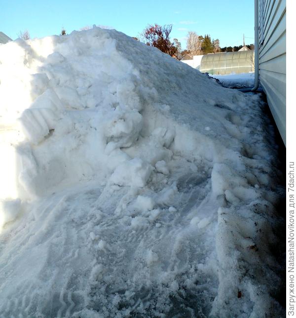 с северной стороны горы!!! снежные, сегодня должны помошники приехать