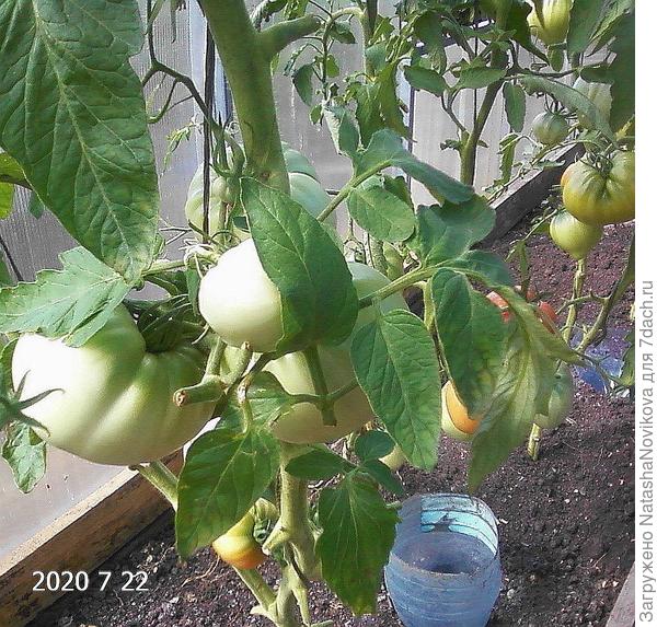 начало болезни