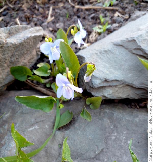 и по камушкам, и по камушкам...))