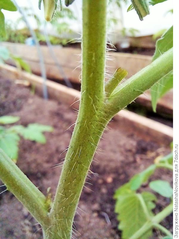 с другй стороны то же самый