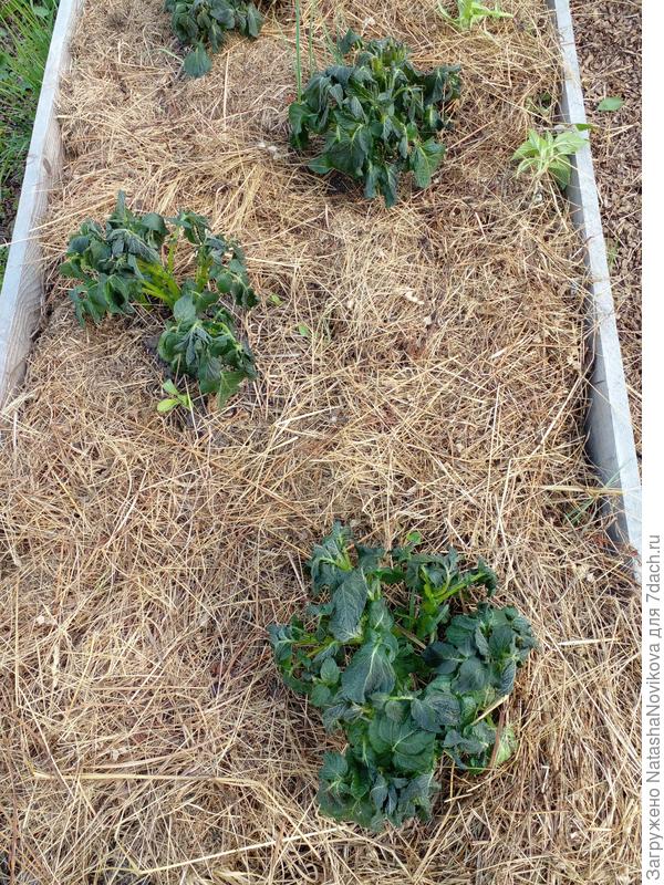 ну и так далее((