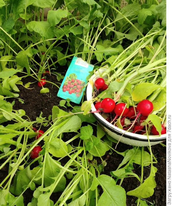 фото вчерашнее