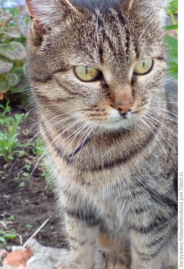 Масянька то же сердится на лето.