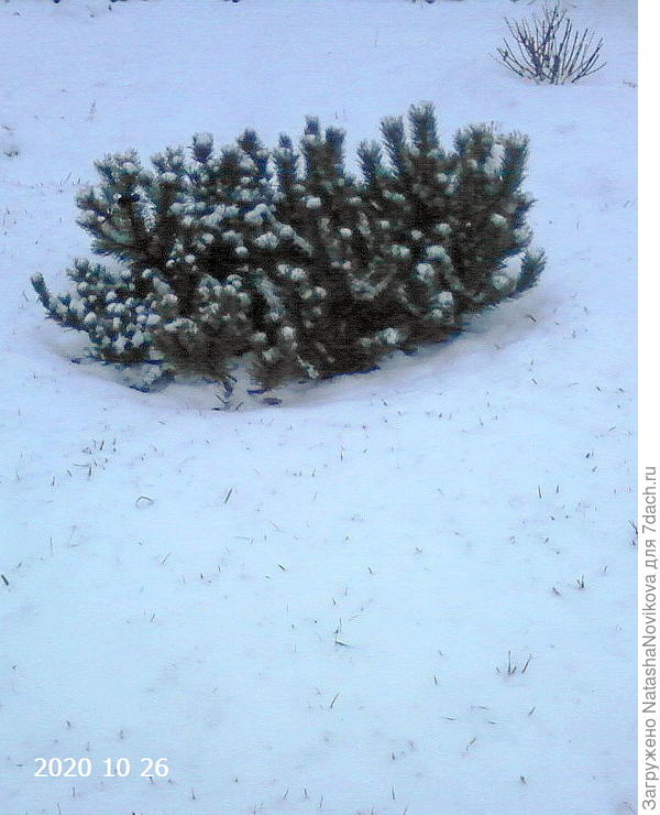 в зиму уходила такой